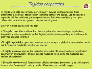 El tejido vivo está conformado por células y, aunque existen muchos tipos
diferentes de células, todas tienen la misma estructura básica. Los tejidos son
capas de células similares que cumplen con una función específica y los tipos
diferentes de estos se agrupan para formar órganos.
Existen 4 tipos básicos de tejidos:
- El tejido conectivo sostiene los otros tejidos y los une e incluye tejido óseo,
sanguíneo y linfático además de los tejidos que brindan soporte y estructura a la
piel y los órganos internos.
-El tejido epitelial proporciona la cobertura e incluye la piel y los revestimientos de
los diferentes conductos dentro del cuerpo.
-El tejido muscular abarca los músculos estriados (llamados también voluntarios)
que mueven el esqueleto, al igual que los músculos lisos, como los músculos que
rodean el estómago.
- El tejido nervioso está formado por células nerviosas (neuronas) y se utiliza para
transportar "mensajes" hacia y desde diferentes partes del cuerpo.
Tejidos corporales
 