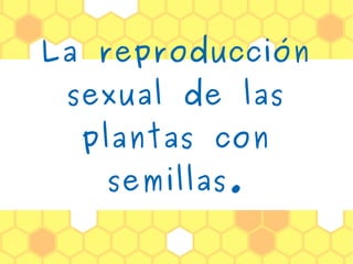 La reproducción
sexual de las
plantas con
semillas.
 