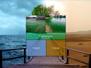 Industria petrolífera