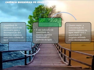 Industria químicaConsequências 