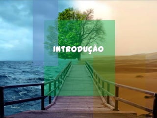 Introdução