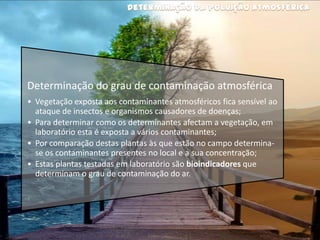 MEDIDAS DE PREVENÇÃO