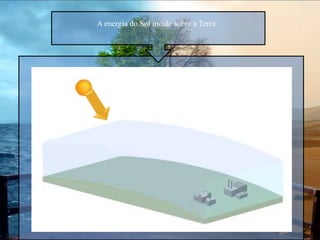 Se contaminantes forem metais pesados (chumbo), há lesões fortes nos tecidos e orgãos pudendo causar a morte.Determinação da poluição atmosféricaDeterminação do grau de contaminação atmosféricaVegetação exposta aos contaminantes atmosféricos fica sensível ao ataque de insectos e organismos causadores de doenças;