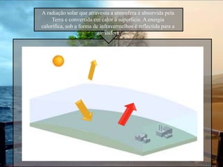 Por comparação destas plantas às que estão no campo determina-se os contaminantes presentes no local e a sua concentração;