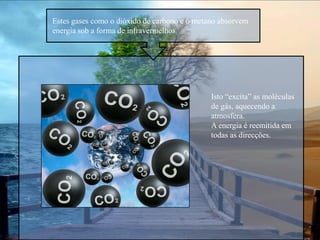 Testar os efeitos na saúde e no ambiente de cada contaminante;