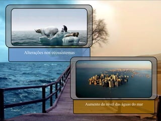 A energia do Sol incide sobre a Terra