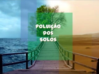 Poluição dos Solos