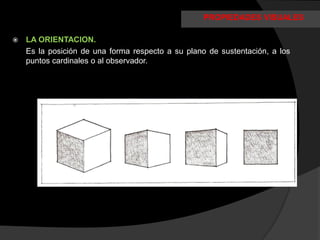 PROPIEDADES VISUALES

   LA ORIENTACION.
    Es la posición de una forma respecto a su plano de sustentación, a los
    puntos cardinales o al observador.
 