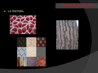 PROPIEDADES VISUALES

   LA TEXTURA.
 