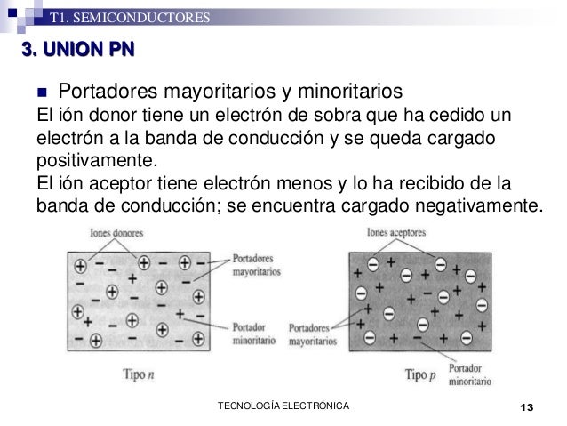 Diferencia Entre Portadores Mayoritarios Y Minoritarios
