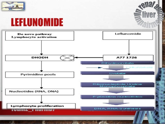 Leflunomide For Rheumatoid Arthritis