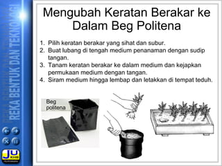 1. Pilih keratan berakar yang sihat dan subur.
2. Buat lubang di tengah medium penanaman dengan sudip
tangan.
3. Tanam keratan berakar ke dalam medium dan kejapkan
permukaan medium dengan tangan.
4. Siram medium hingga lembap dan letakkan di tempat teduh.
Mengubah Keratan Berakar ke
Dalam Beg Politena
Beg
politena
 