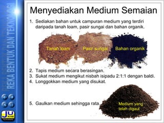 Menyediakan Medium Semaian
1. Sediakan bahan untuk campuran medium yang terdiri
daripada tanah loam, pasir sungai dan bahan organik.
2. Tapis medium secara berasingan.
3. Sukat medium mengikut nisbah isipadu 2:1:1 dengan baldi.
4. Longgokkan medium yang disukat.
5. Gaulkan medium sehingga rata.
Tanah loam Pasir sungai Bahan organik
Medium yang
telah digaul
 