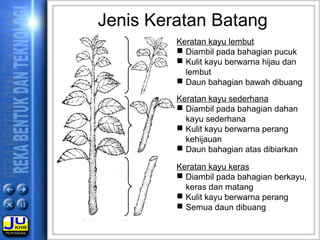 Jenis Keratan Batang
Keratan kayu lembut
 Diambil pada bahagian pucuk
 Kulit kayu berwarna hijau dan
lembut
 Daun bahagian bawah dibuang
Keratan kayu sederhana
 Diambil pada bahagian dahan
kayu sederhana
 Kulit kayu berwarna perang
kehijauan
 Daun bahagian atas dibiarkan
Keratan kayu keras
 Diambil pada bahagian berkayu,
keras dan matang
 Kulit kayu berwarna perang
 Semua daun dibuang
 