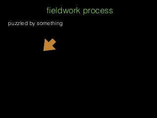ﬁeldwork process
puzzled by something
 