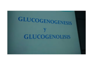 Diapositivas Bioquimica II segmento, V. Glucogenogenesis y Glucogenolisis