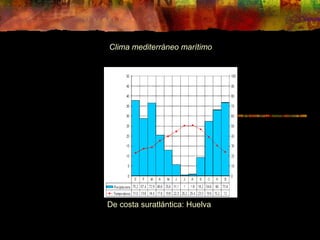 Clima mediterráneo marítimo 
De costa suratlántica: Huelva 
 
