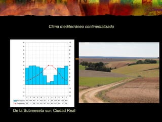 Clima mediterráneo continentalizado 
55 
50 
45 
40 
35 
30 
25 
20 
15 
10 
5 
0 
-5 
-10 
-15 
110 
100 
90 
80 
70 
60 
50 
40 
30 
20 
10 
0 
-10 
-20 
-30 
E F M A M J J A S O N D 
Precipitacions 43,8 49,4 49,7 47 43,8 23,7 5 8,9 25,3 43,9 43,3 48,9 
Temperatures 5,5 7,1 9,8 12,3 16,1 20,7 25,1 24,6 20,7 14,6 8,7 5,8 
De la Submeseta sur: Ciudad Real 
 