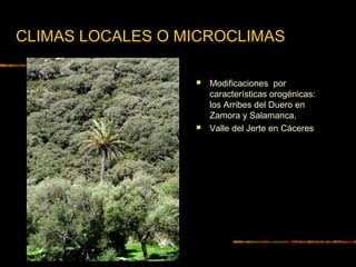 CLIMAS LOCALES O MICROCLIMAS 
 Modificaciones por 
características orogénicas: 
los Arribes del Duero en 
Zamora y Salamanca, 
 Valle del Jerte en Cáceres 
 