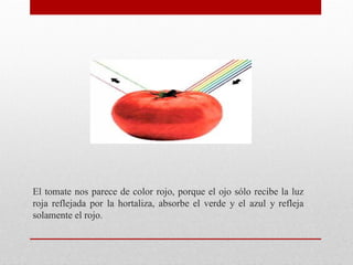 El tomate nos parece de color rojo, porque el ojo sólo recibe la luz
roja reflejada por la hortaliza, absorbe el verde y el azul y refleja
solamente el rojo.
 