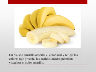 Un plátano amarillo absorbe el color azul y refleja los
colores rojo y verde, los cuales sumados permiten
visualizar el color amarillo.
 
