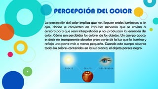 PERCEPCIÓN DEL COLOR
8
La percepción del color implica que nos lleguen ondas luminosas a los
ojos, donde se convierten en impulsos nerviosos que se envían al
cerebro para que sean interpretados y nos produzcan la sensación del
color. Cómo son percibidos los colores de los objetos. Un cuerpo opaco,
es decir no transparente absorbe gran parte de la luz que lo ilumina y
refleja una parte más o menos pequeña. Cuando este cuerpo absorbe
todos los colores contenidos en la luz blanca, el objeto parece negro.
 