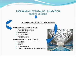 ENSEÑANZA ELEMENTAL DE LA NATACIÓN OBJETIVO UTILITARIO DOMINIO ELEMENTAL DEL MEDIO OBJETIVOS ESPECÍFICOS FAMILIARIZACIÓN RESPIRACIÓN FLOTACIÓN PROPULSIÓN OBJETIVOS SECUNDARIOS SALTOS GIROS EQUILIBRIOS LANZAMIENTOS Y RECEPCIONES 