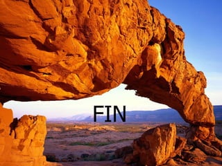 FIN 