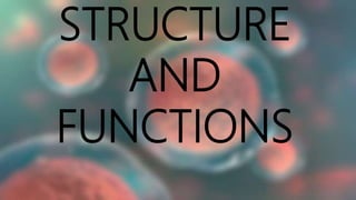 STRUCTURE
AND
FUNCTIONS
 