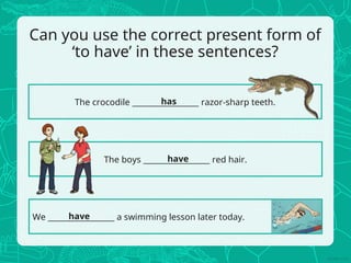 Can you use the correct present form of
‘to have’ in these sentences?
The crocodile _________________ razor-sharp teeth.
We _________________ a swimming lesson later today.
The boys _________________ red hair.
has
have
have
 