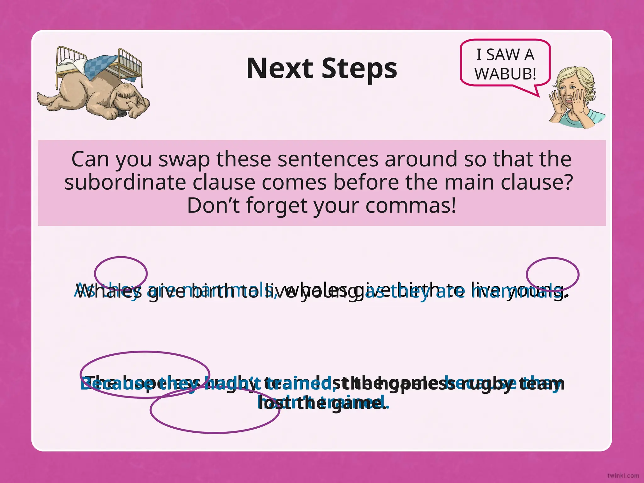 Next Steps
I SAW A
WABUB!
Can you swap these sentences around so that the
subordinate clause comes before the main clause?
Don’t forget your commas!
As they are mammals, whales give birth to live young.
Whales give birth to live young as they are mammals.
The hopeless rugby team lost the game because they
hadn’t trained.
Because they hadn’t trained, the hopeless rugby team
lost the game.
 