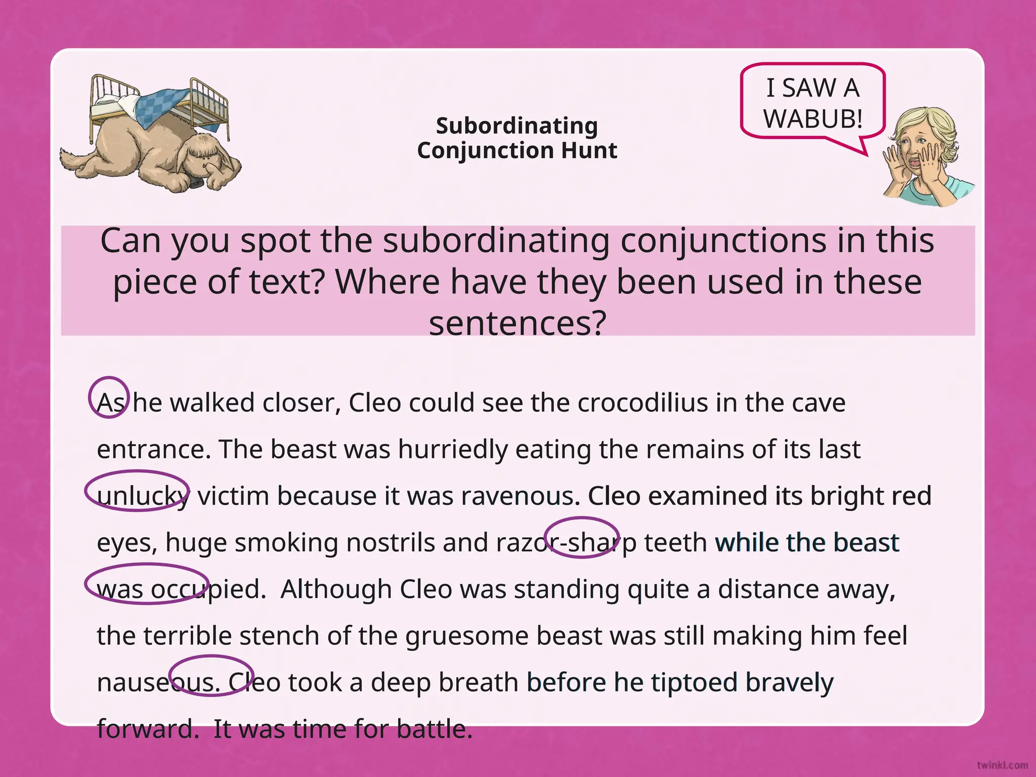 Can you spot the subordinating conjunctions in this
piece of text? Where have they been used in these
sentences?
Subordinating
Conjunction Hunt
I SAW A
WABUB!
As he walked closer, Cleo could see the crocodilius in the cave
entrance. The beast was hurriedly eating the remains of its last
unlucky victim because it was ravenous. Cleo examined its bright red
eyes, huge smoking nostrils and razor-sharp teeth while the beast
was occupied. Although Cleo was standing quite a distance away,
the terrible stench of the gruesome beast was still making him feel
nauseous. Cleo took a deep breath before he tiptoed bravely
forward. It was time for battle.
As he walked closer, Cleo could see the crocodilius in the cave
entrance. The beast was hurriedly eating the remains of its last
unlucky victim because it was ravenous. Cleo examined its bright red
eyes, huge smoking nostrils and razor-sharp teeth while the beast
was occupied. Although Cleo was standing quite a distance away,
the terrible stench of the gruesome beast was still making him feel
nauseous. Cleo took a deep breath before he tiptoed bravely
forward. It was time for battle.
 