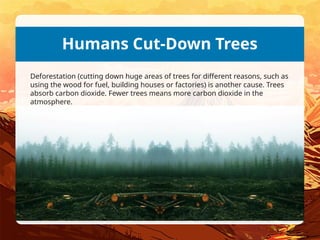 Humans Cut-Down Trees
Deforestation (cutting down huge areas of trees for different reasons, such as
using the wood for fuel, building houses or factories) is another cause. Trees
absorb carbon dioxide. Fewer trees means more carbon dioxide in the
atmosphere.
 