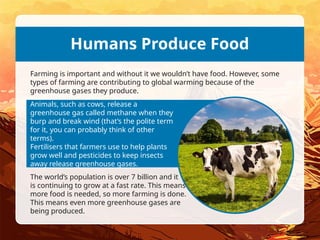 Animals, such as cows, release a
greenhouse gas called methane when they
burp and break wind (that’s the polite term
for it, you can probably think of other
terms).
Fertilisers that farmers use to help plants
grow well and pesticides to keep insects
away release greenhouse gases.
Humans Produce Food
Farming is important and without it we wouldn’t have food. However, some
types of farming are contributing to global warming because of the
greenhouse gases they produce.
The world’s population is over 7 billion and it
is continuing to grow at a fast rate. This means
more food is needed, so more farming is done.
This means even more greenhouse gases are
being produced.
 