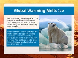When ice melts, it turns to water. The
melting polar ice caps are causing
sea levels across the world to rise.
Sea levels are rising at around 0.3cm
per year. This could see coastal areas
flooded, leaving less land to live on
and grow food on.
Global Warming Melts Ice
Global warming is causing ice at both
the North and South Poles to melt.
This means animals, such as polar
bears, penguins and seals, are losing
their habitats.
 