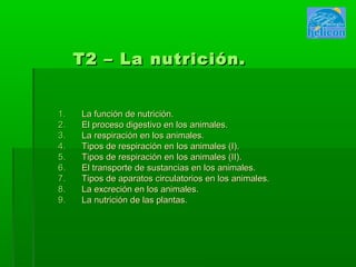 T2 – La nutrición.


1.   La función de nutrición.
2.   El proceso digestivo en los animales.
3.   La respiración en los animales.
4.   Tipos de respiración en los animales (I).
5.   Tipos de respiración en los animales (II).
6.   El transporte de sustancias en los animales.
7.   Tipos de aparatos circulatorios en los animales.
8.   La excreción en los animales.
9.   La nutrición de las plantas.
 