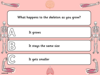 T2-S-326-Skeletons-and-Muscles-Powerpoint-Quiz.ppt