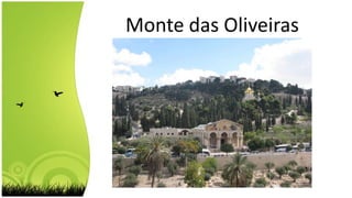 Monte das Oliveiras
 
