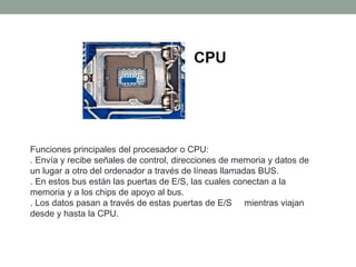 Funciones principales del procesador o CPU:
. Envía y recibe señales de control, direcciones de memoria y datos de
un lugar a otro del ordenador a través de líneas llamadas BUS.
. En estos bus están las puertas de E/S, las cuales conectan a la
memoria y a los chips de apoyo al bus.
. Los datos pasan a través de estas puertas de E/S mientras viajan
desde y hasta la CPU.
 