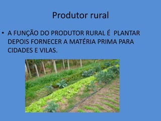 Produtor ruralA FUNÇÃO DO PRODUTOR RURAL É  PLANTAR DEPOIS FORNECER A MATÉRIA PRIMA PARA CIDADES E VILAS.