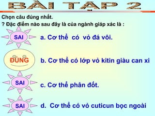 BÀI TẬP 2 Chọn câu đúng nhất. ? Đặc điểm nào sau đây là của ngành giáp xác là : a. Cơ thể  có  vỏ đá vôi. b. Cơ thể có lớp vỏ kitin giàu can xi c. Cơ thể phân đốt. d.  Cơ thể có vỏ cuticun bọc ngoài SAI ĐÚNG SAI SAI 