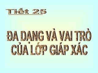 ĐA DẠNG VÀ VAI TRÒ  CỦA LỚP GIÁP XÁC Tiết 25  
