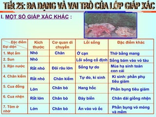 Tiết 25: ĐA DẠNG VÀ VAI TRÒ CỦA LỚP GIÁP XÁC I.  MỘT SỐ GIÁP XÁC KHÁC  : Nhỏ Chân Ở cạn Thở bằng mang Nhỏ Lối sống cố định Sống bám vào vỏ tàu Rất nhỏ Đôi râu lớn Sống tự do Mùa hạ sinh toán con cái Rất nhỏ Chân kiếm Tự do, kí sinh Kí sinh: phần phụ tiêu giảm Lớn Chân bò Hang hốc Phần bụng tiêu giảm Rất lớn Chân bò Đáy biển Chân dài giống nhện Lớn Chân bò Ẩn vào vỏ ốc Phần bụng vỏ mỏng và mềm 7. Tôm ở nhờ 6. Cua nhện 5. Cua đồng 4. Chân kiếm 3. Rận nước 2. Sun 1. Mọt ẩm Đặc điểm khác Lối sống Cơ quan di chuyển Kích thước Đặc điểm Đại diện 