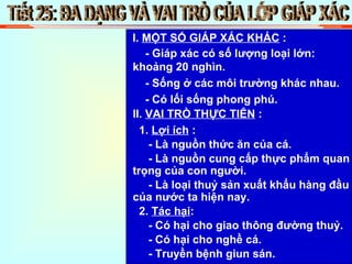 Tiết 25: ĐA DẠNG VÀ VAI TRÒ CỦA LỚP GIÁP XÁC I.  MỘT SỐ GIÁP XÁC KHÁC  : - Giáp xác có số lượng loại lớn: khoảng 20 nghìn. - Sống ở các môi trường khác nhau. - Có lối sống phong phú. II.  VAI TRÒ THỰC TIỄN  : 1.  Lợi ích  : - Là nguồn thức ăn của cá. - Là nguồn cung cấp thực phẩm quan trọng của con người. - Là loại thuỷ sản xuất khẩu hàng đầu của nước ta hiện nay. 2.  Tác hại :  - Có hại cho giao thông đường thuỷ. - Có hại cho nghề cá. - Truyền bệnh giun sán. 