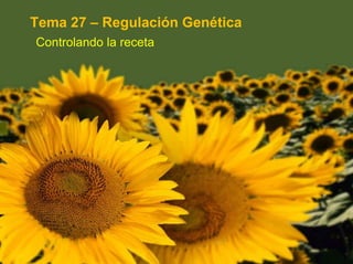 Tema 27 – Regulación Genética Controlando la receta 