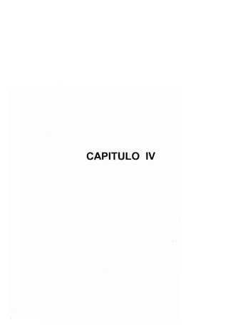 CAPITULO IV
 