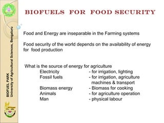 BIOFUELS FOR FOOD SECURITY
Food and Energy are inseparable in the Farming systems
Food security of the world depends on the availability of energy
for food production
What is the source of energy for agriculture
Electricity - for irrigation, lighting
Fossil fuels - for irrigation, agriculture
machines & transport
Biomass energy - Biomass for cooking
Animals - for agriculture operation
Man - physical labour
BIOFUELPARK
UniversityofAgriculturalSciences,Bengaluru
 