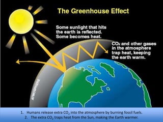 1. Humans release extra CO2 into the atmosphere by burning fossil fuels.
2. The extra CO2 traps heat from the Sun, making the Earth warmer.
 