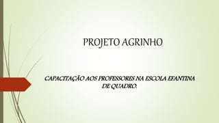 PROJETO AGRINHO
CAPACITAÇÃO AOS PROFESSORES NA ESCOLA EFANTINA
DE QUADRO.
 
