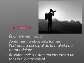  És un element bàsic.
 Juntament amb la línia formen
  l’estructura principal de la majoria de
  composicions.
 Resalten més si estan col·locades a un
  fons pla o contrastat.
 